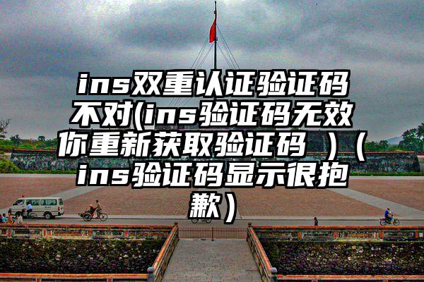 ins双重认证验证码不对(ins验证码无效你重新获取验证码 )（ins验证码显示很抱歉）