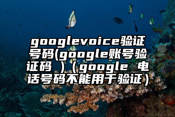 googlevoice验证号码(google账号验证码 )(google 电话号码不能用于验证)