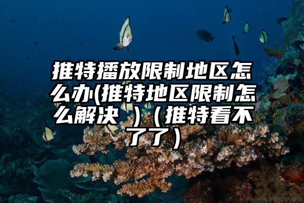 推特播放限制地区怎么办(推特地区限制怎么解决 )（推特看不了了）