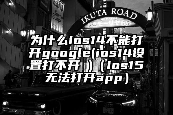 为什么ios14不能打开google(ios14设置打不开 )（ios15无法打开app）