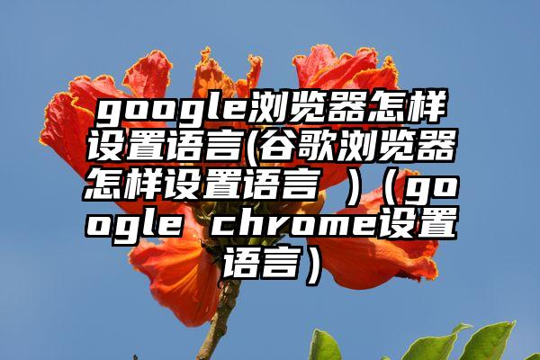 google浏览器怎样设置语言(谷歌浏览器怎样设置语言 )（google chrome设置语言）