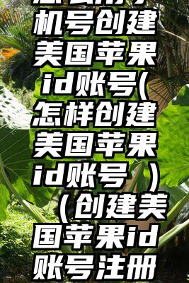怎么用手机号创建美国苹果id账号(怎样创建美国苹果id账号 )（创建美国苹果id账号注册）