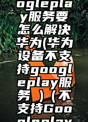 不支持googleplay服务要怎么解决华为(华为设备不支持googleplay服务 )（不支持Googleplay服务