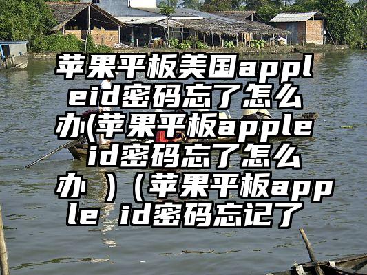 苹果平板美国appleid密码忘了怎么办(苹果平板apple id密码忘了怎么办 )（苹果平板apple id密码忘记了