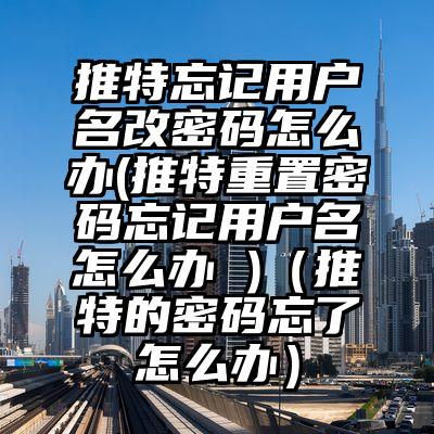 推特忘记用户名改密码怎么办(推特重置密码忘记用户名怎么办 )(推特的密码忘了怎么办)