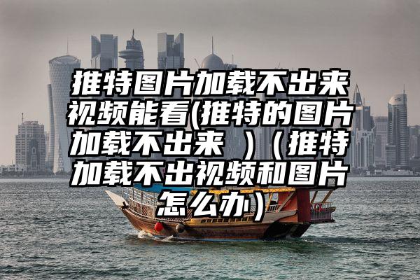推特图片加载不出来视频能看(推特的图片加载不出来 )（推特加载不出视频和图片怎么办）