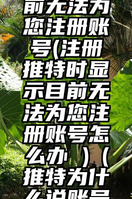 注册推特时显示目前无法为您注册账号(注册推特时显示目前无法为您注册账号怎么办 )（推特为什么说账号目前无法注册）