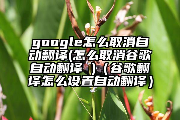 google怎么取消自动翻译(怎么取消谷歌自动翻译 )（谷歌翻译怎么设置自动翻译）