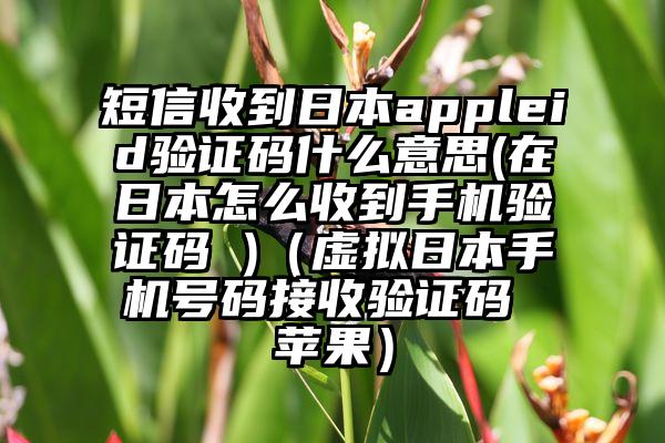 短信收到日本appleid验证码什么意思(在日本怎么收到手机验证码 )（虚拟日本手机号码接收验证码 苹果）