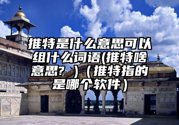 推特是什么意思可以组什么词语(推特啥意思? )（推特指的是哪个软件）