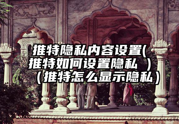 推特隐私内容设置(推特如何设置隐私 )（推特怎么显示隐私）