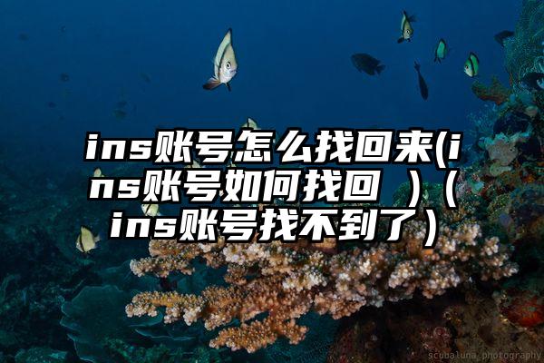 ins账号怎么找回来(ins账号如何找回 )（ins账号找不到了）