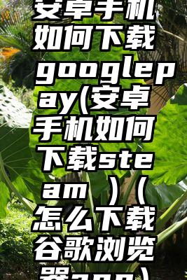 安卓手机如何下载googlepay(安卓手机如何下载steam )（怎么下载谷歌浏览器app）