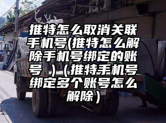 推特怎么取消关联手机号(推特怎么解除手机号绑定的账号 )（推特手机号绑定多个账号怎么解除）