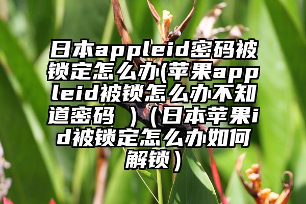 日本appleid密码被锁定怎么办(苹果appleid被锁怎么办不知道密码 )（日本苹果id被锁定怎么办如何解锁）