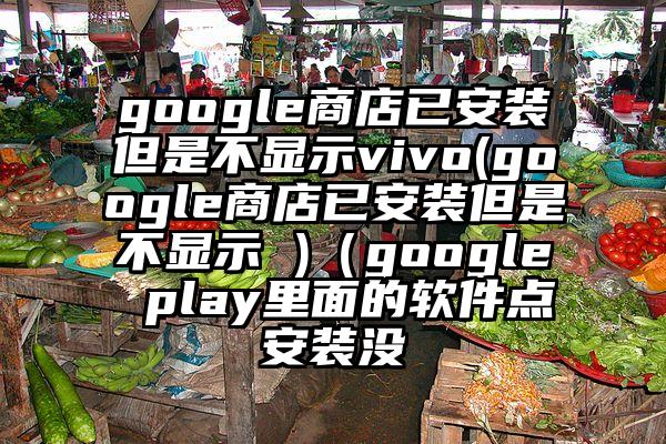 google商店已安装但是不显示vivo(google商店已安装但是不显示 )(google play里面的软件点安装没