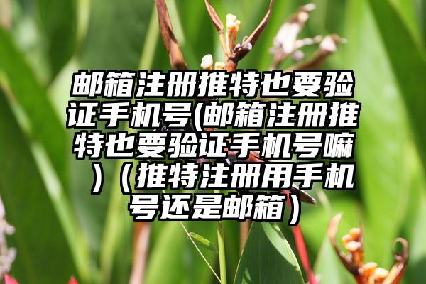 邮箱注册推特也要验证手机号(邮箱注册推特也要验证手机号嘛 )（推特注册用手机号还是邮箱）
