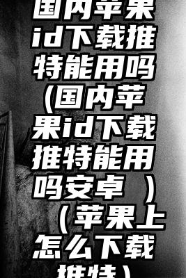 国内苹果id下载推特能用吗(国内苹果id下载推特能用吗安卓 )（苹果上怎么下载推特）