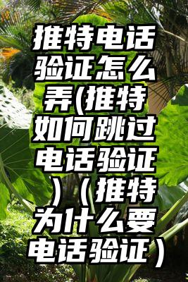 推特电话验证怎么弄(推特如何跳过电话验证 )（推特为什么要电话验证）