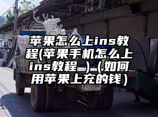 苹果怎么上ins教程(苹果手机怎么上ins教程 )（如何用苹果上充的钱）