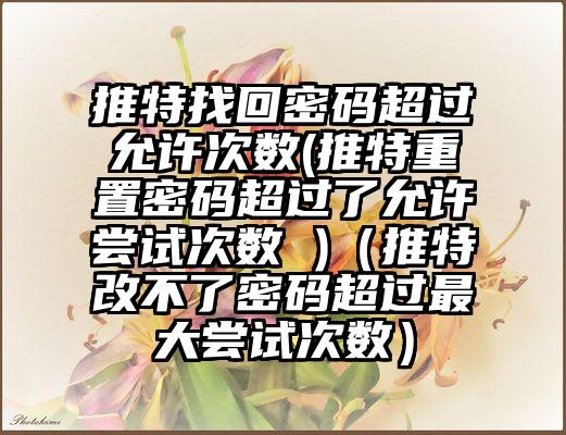推特找回密码超过允许次数(推特重置密码超过了允许尝试次数 )（推特改不了密码超过最大尝试次数）