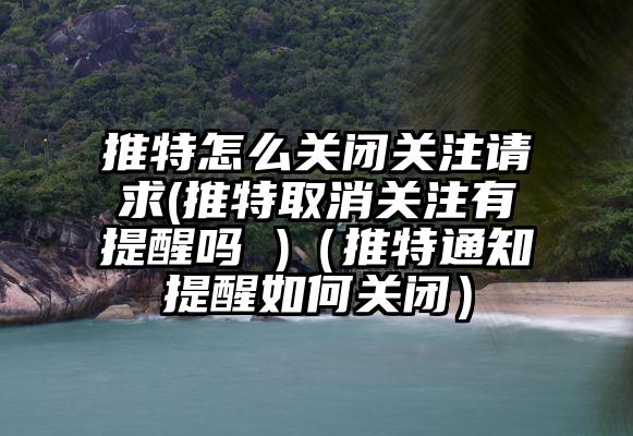 推特怎么关闭关注请求(推特取消关注有提醒吗 )（推特通知提醒如何关闭）