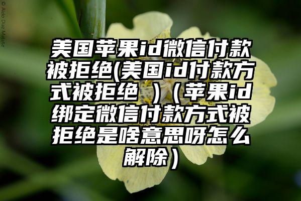 美国苹果id微信付款被拒绝(美国id付款方式被拒绝 )（苹果id绑定微信付款方式被拒绝是啥意思呀怎么解除）