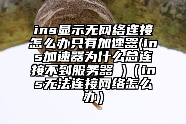 ins显示无网络连接怎么办只有加速器(ins加速器为什么总连接不到服务器 )（ins无法连接网络怎么办）