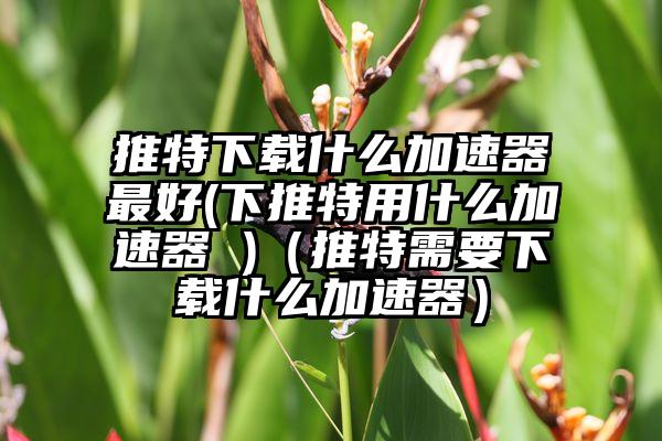 推特下载什么加速器最好(下推特用什么加速器 )（推特需要下载什么加速器）