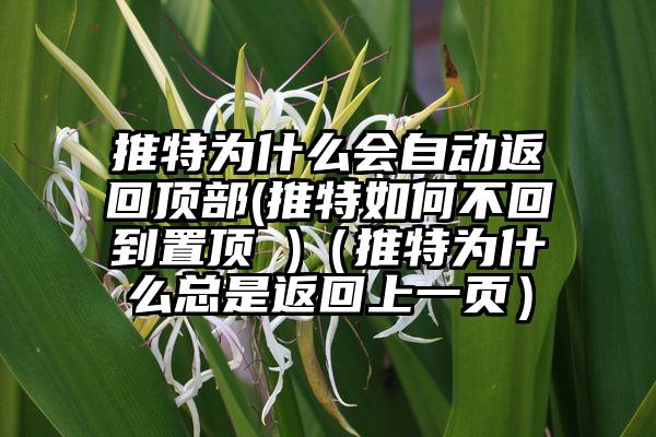 推特为什么会自动返回顶部(推特如何不回到置顶 )（推特为什么总是返回上一页）