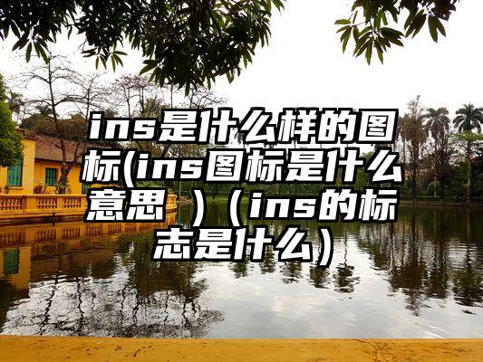 ins是什么样的图标(ins图标是什么意思 )(ins的标志是什么)