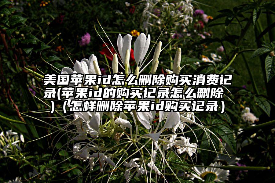 美国苹果id怎么删除购买消费记录(苹果id的购买记录怎么删除 )（怎样删除苹果id购买记录）