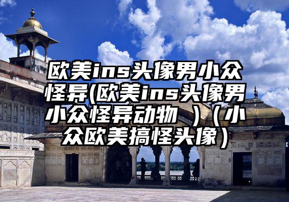 欧美ins头像男小众怪异(欧美ins头像男小众怪异动物 )（小众欧美搞怪头像）