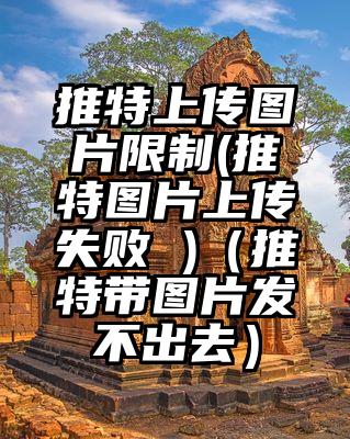 推特上传图片限制(推特图片上传失败 )（推特带图片发不出去）