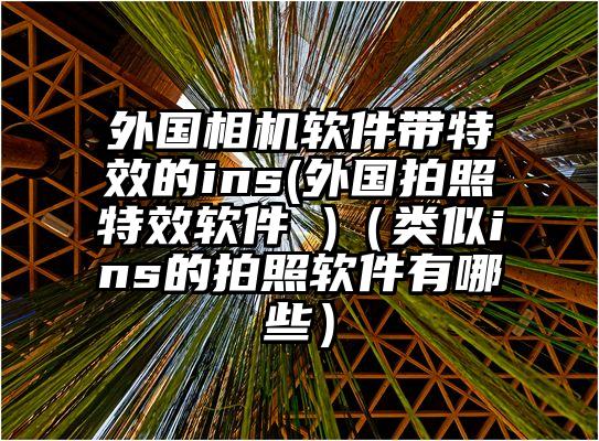 外国相机软件带特效的ins(外国拍照特效软件 )（类似ins的拍照软件有哪些）