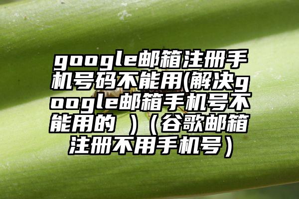 google邮箱注册手机号码不能用(解决google邮箱手机号不能用的 )（谷歌邮箱注册不用手机号）