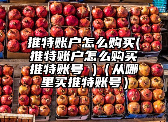 推特账户怎么购买(推特账户怎么购买推特账号 )（从哪里买推特账号）