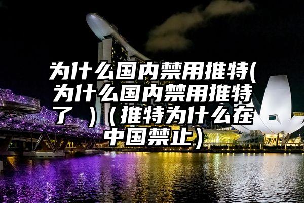 为什么国内禁用推特(为什么国内禁用推特了 )（推特为什么在中国禁止）
