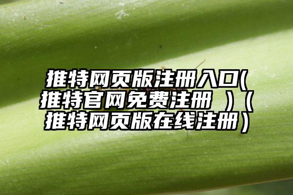 推特网页版注册入口(推特官网免费注册 )（推特网页版在线注册）