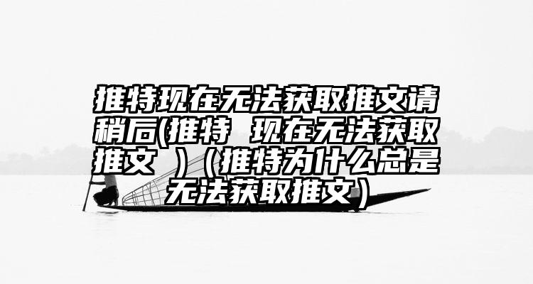 推特现在无法获取推文请稍后(推特 现在无法获取推文 )（推特为什么总是无法获取推文）