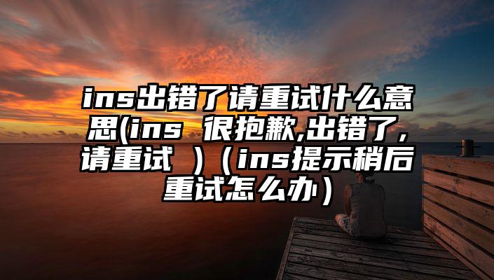 ins出错了请重试什么意思(ins 很抱歉,出错了,请重试 )（ins提示稍后重试怎么办）