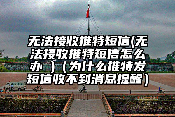 无法接收推特短信(无法接收推特短信怎么办 )（为什么推特发短信收不到消息提醒）