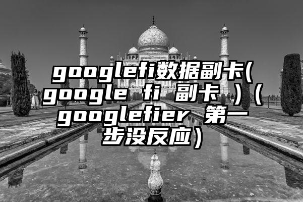 googlefi数据副卡(google fi 副卡 )（googlefier 第一步没反应）