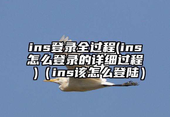 ins登录全过程(ins怎么登录的详细过程 )（ins该怎么登陆）
