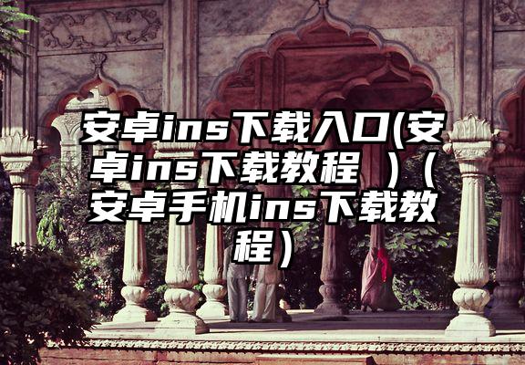 安卓ins下载入口(安卓ins下载教程 )（安卓手机ins下载教程）