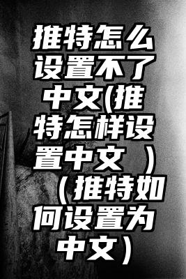 推特怎么设置不了中文(推特怎样设置中文 )（推特如何设置为中文）
