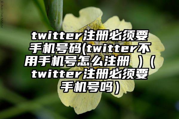 twitter注册必须要手机号码(twitter不用手机号怎么注册 )（twitter注册必须要手机号吗）