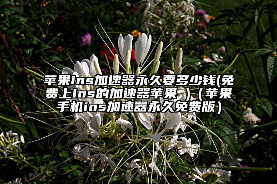 苹果ins加速器永久要多少钱(免费上ins的加速器苹果 )（苹果手机ins加速器永久免费版）