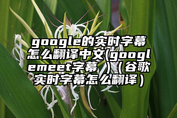 google的实时字幕怎么翻译中文(googlemeet字幕 )(谷歌实时字幕怎么翻译)