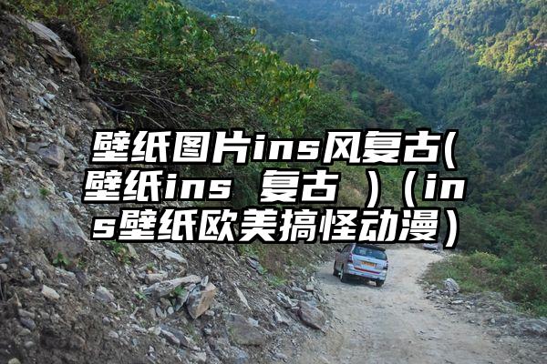 壁纸图片ins风复古(壁纸ins 复古 )（ins壁纸欧美搞怪动漫）